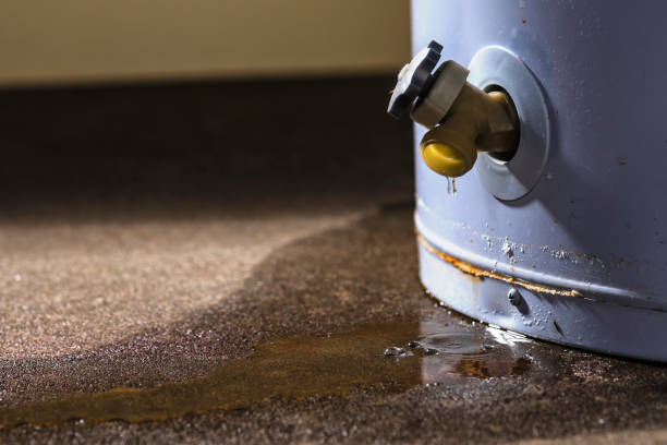 Best Ceiling water damage repair  in Pegram, TN